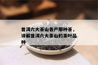 普洱六大茶山各产那种茶，详解普洱六大茶山的茶叶品种