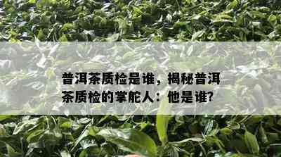 普洱茶质检是谁，揭秘普洱茶质检的掌舵人：他是谁？