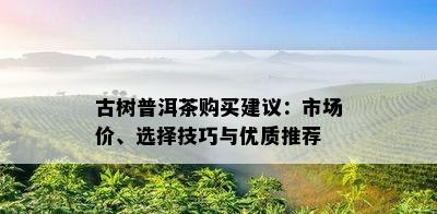 古树普洱茶购买建议：市场价、选择技巧与优质推荐