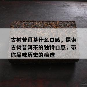 古树普洱茶什么口感，探索古树普洱茶的独特口感，带你品味历史的痕迹