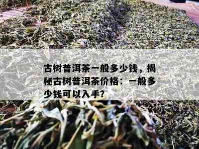 古树普洱茶一般多少钱，揭秘古树普洱茶价格：一般多少钱可以入手？