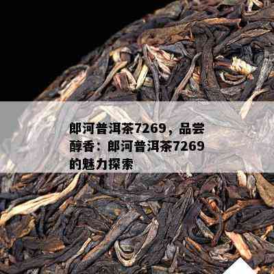 郎河普洱茶7269，品尝醇香：郎河普洱茶7269的魅力探索