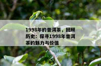 1998年的普洱茶，回顾历史：探寻1998年普洱茶的魅力与价值