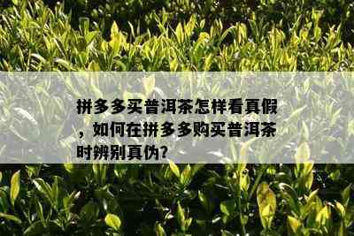 拼多多买普洱茶怎样看真假，如何在拼多多购买普洱茶时辨别真伪？