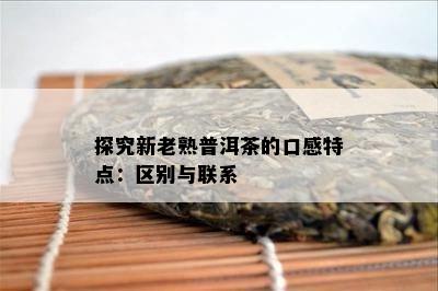 探究新老熟普洱茶的口感特点：区别与联系