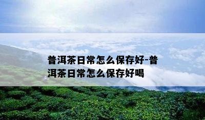 普洱茶日常怎么保存好-普洱茶日常怎么保存好喝