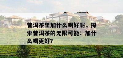 普洱茶里加什么喝好呢，探索普洱茶的无限可能：加什么喝更好？