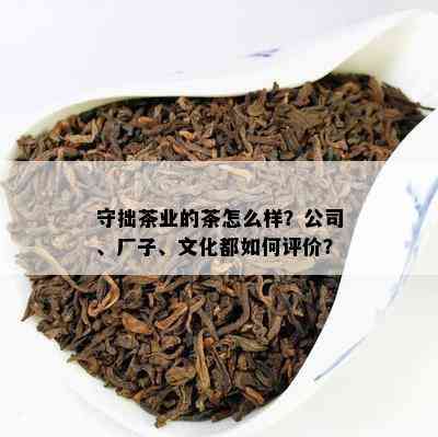 守拙茶业的茶怎么样？公司、厂子、文化都如何评价？