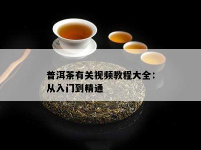 普洱茶有关视频教程大全：从入门到精通