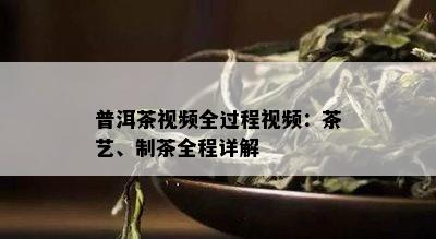 普洱茶视频全过程视频：茶艺、制茶全程详解