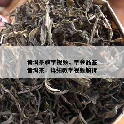 普洱茶教学视频，学会品鉴普洱茶：详细教学视频解析