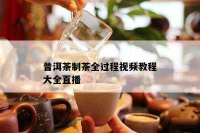 普洱茶制茶全过程视频教程大全直播