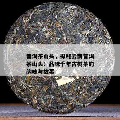 普洱茶山头，探秘云南普洱茶山头：品味千年古树茶的韵味与故事