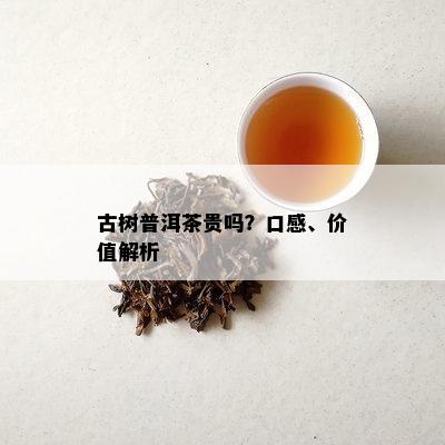 古树普洱茶贵吗？口感、价值解析