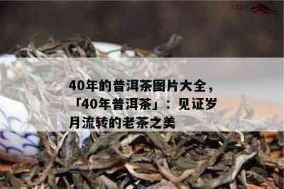 40年的普洱茶图片大全，「40年普洱茶」：见证岁月流转的老茶之美