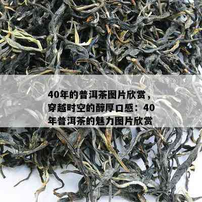 40年的普洱茶图片欣赏，穿越时空的醇厚口感：40年普洱茶的魅力图片欣赏