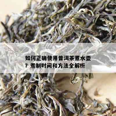 如何正确使用普洱茶煮水壶？煮制时间和方法全解析