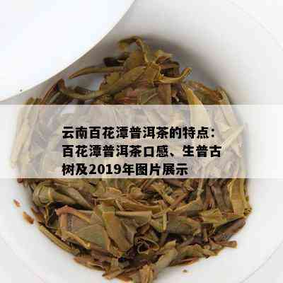 云南百花潭普洱茶的特点：百花潭普洱茶口感、生普古树及2019年图片展示