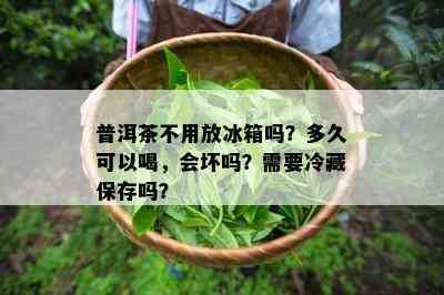 普洱茶不用放冰箱吗？多久可以喝，会坏吗？需要冷藏保存吗？