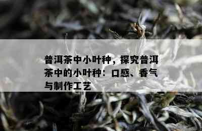 普洱茶中小叶种，探究普洱茶中的小叶种：口感、香气与制作工艺