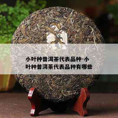 小叶种普洱茶代表品种-小叶种普洱茶代表品种有哪些