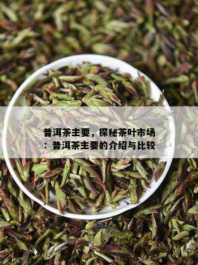 普洱茶主要，探秘茶叶市场：普洱茶主要的介绍与比较