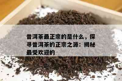 普洱茶最正宗的是什么，探寻普洱茶的正宗之源：揭秘更受欢迎的