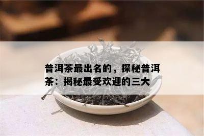 普洱茶最出名的，探秘普洱茶：揭秘更受欢迎的三大