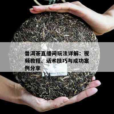 普洱茶直播间玩法详解：视频教程、话术技巧与成功案例分享