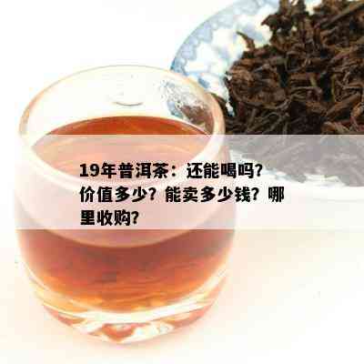 19年普洱茶：还能喝吗？价值多少？能卖多少钱？哪里收购？