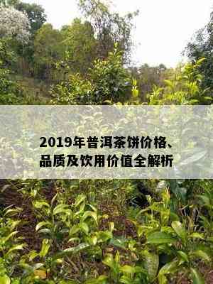 2019年普洱茶饼价格、品质及饮用价值全解析