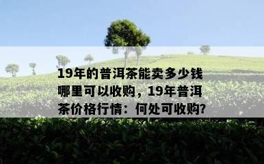 19年的普洱茶能卖多少钱哪里可以收购，19年普洱茶价格行情：何处可收购？