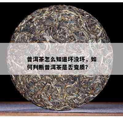 普洱茶怎么知道坏没坏，如何判断普洱茶是否变质？