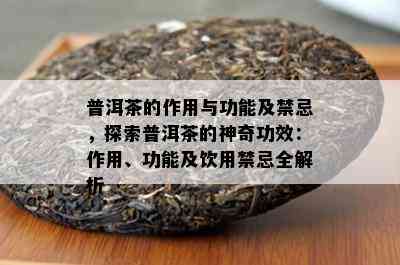 普洱茶的作用与功能及禁忌，探索普洱茶的神奇功效：作用、功能及饮用禁忌全解析