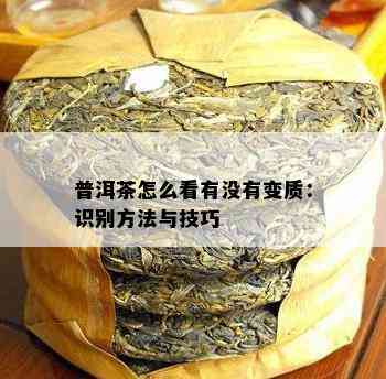 普洱茶怎么看有没有变质：识别方法与技巧