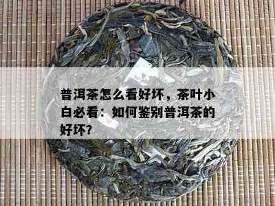 普洱茶怎么看好坏，茶叶小白必看：如何鉴别普洱茶的好坏？