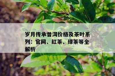 岁月传承普洱价格及茶叶系列：官网、红茶、绿茶等全解析