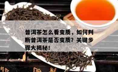 普洱茶怎么看变质，如何判断普洱茶是否变质？关键步骤大揭秘！