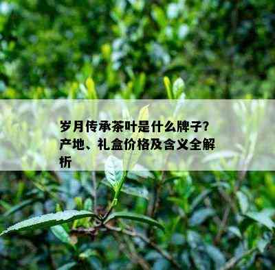 岁月传承茶叶是什么牌子？产地、礼盒价格及含义全解析