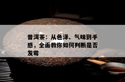 普洱茶：从色泽、气味到手感，全面教你如何判断是否发霉