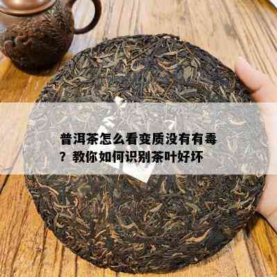 普洱茶怎么看变质没有有？教你如何识别茶叶好坏