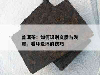 普洱茶：如何识别变质与发霉，看坏没坏的技巧