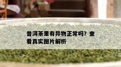 普洱茶里有异物正常吗？查看真实图片解析