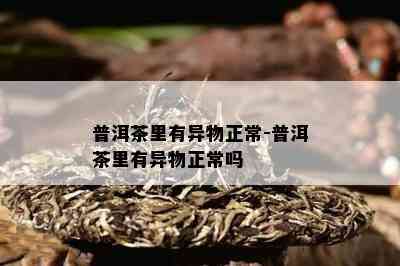 普洱茶里有异物正常-普洱茶里有异物正常吗