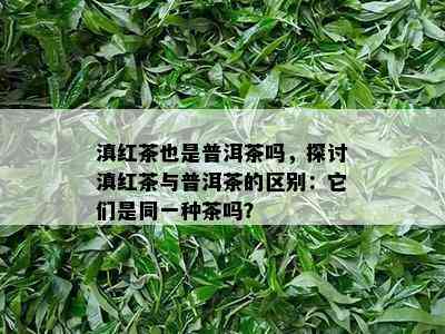 滇红茶也是普洱茶吗，探讨滇红茶与普洱茶的区别：它们是同一种茶吗？