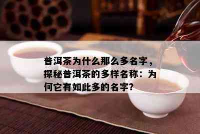 普洱茶为什么那么多名字，探秘普洱茶的多样名称：为何它有如此多的名字？