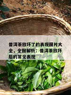 普洱茶放坏了的表现图片大全，全图解析：普洱茶放坏后的常见表现