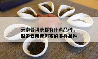 云南普洱茶都有什么品种，探索云南普洱茶的多样品种