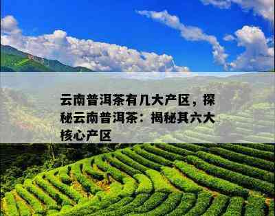 云南普洱茶有几大产区，探秘云南普洱茶：揭秘其六大核心产区