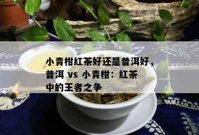 小青柑红茶好还是普洱好，普洱 vs 小青柑：红茶中的王者之争